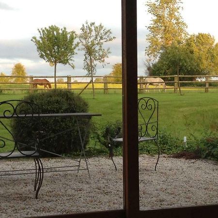 Haras Des Leudets Bed & Breakfast Blangy-le-Château Exterior foto
